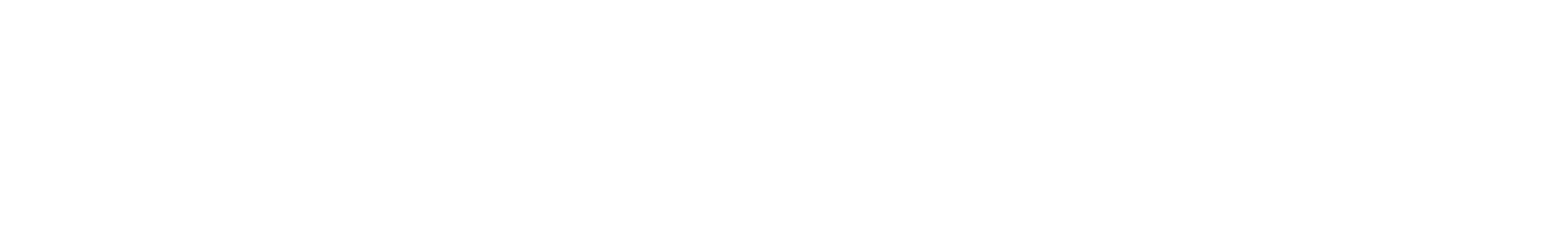 Sea Leader Marine